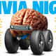Illustration for article titled You Will Probably Fail This Difficult Car Quiz From Jalopnik's Trivia Night